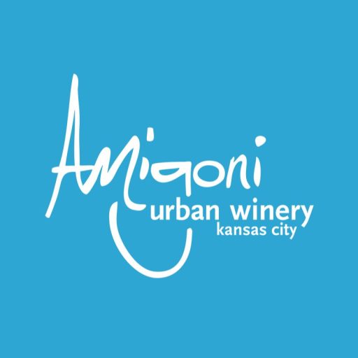 White Amigoni logo on solid blue background used as the site icon.
